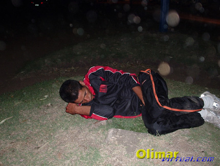 festival_34.jpg